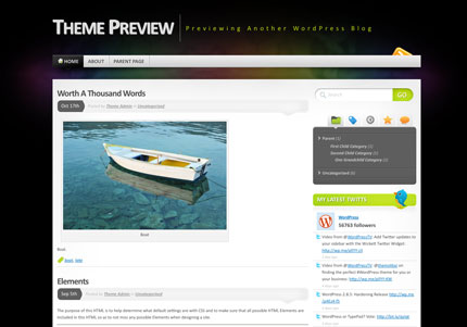 Top 15 Most Popular WordPress Theme