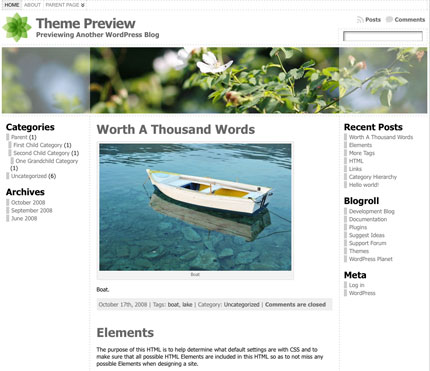 Top 15 Most Popular WordPress Theme