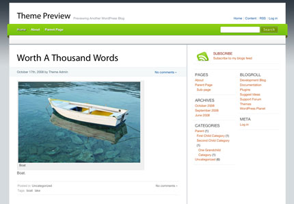 Top 15 Most Popular WordPress Theme