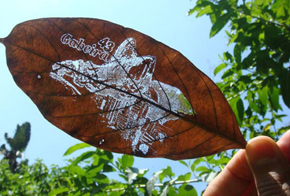 Leaf Card